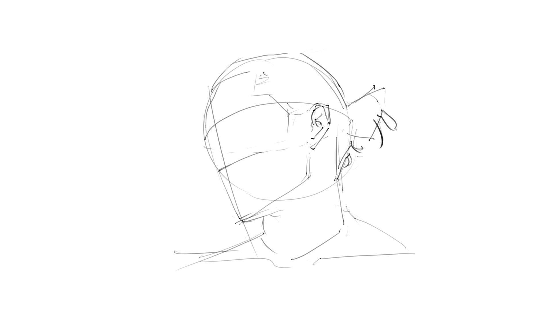 Head shape illustration